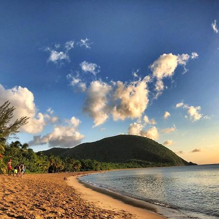 Le Surf Lodge, Chambre Avec Vue Mer Dans Un Ecrin De Verdure Deshaies Exterior foto