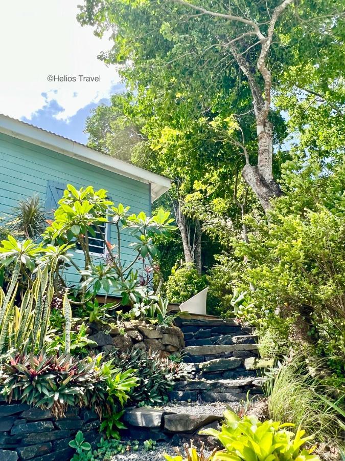 Le Surf Lodge, Chambre Avec Vue Mer Dans Un Ecrin De Verdure Deshaies Exterior foto
