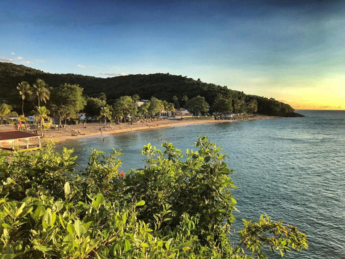 Le Surf Lodge, Chambre Avec Vue Mer Dans Un Ecrin De Verdure Deshaies Exterior foto